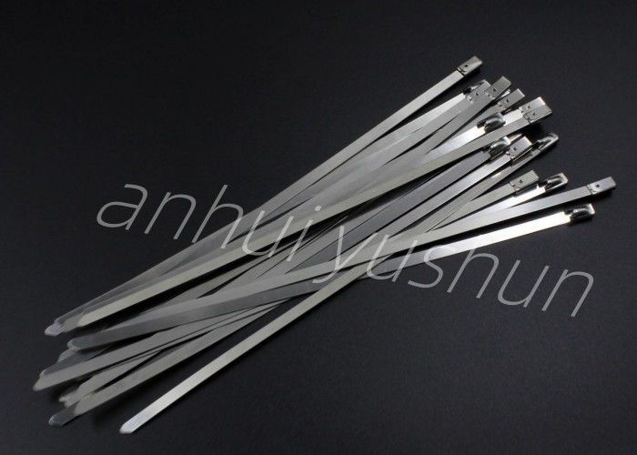 700mm Heavy Duty SS316 Stainless Cable Tie Buckle Type