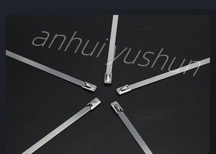 700mm Heavy Duty SS316 Stainless Cable Tie Buckle Type