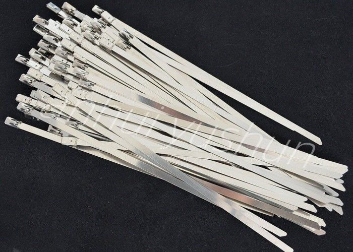 100mm SS316 Bundle Stainless Cable Tie Buckle Type