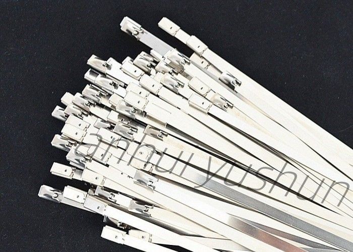 100mm SS316 Bundle Stainless Cable Tie Buckle Type